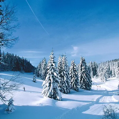 Plein Sud By Popinns Allos
