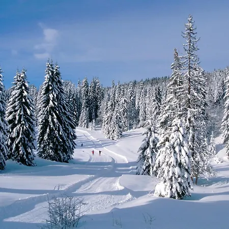 Plein Sud By Popinns Apartamento Allos